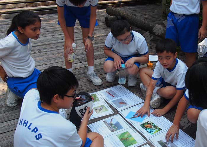 營(yíng)地教育:讓孩子們?cè)诮?jīng)歷中收獲成長(zhǎng) 營(yíng)地教育:讓孩子們?cè)诮?jīng)歷中收獲成長(zhǎng)